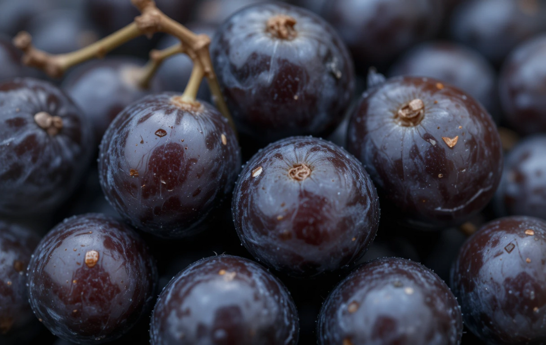 Top 10 Health Benefits of Prunes: The Natural Remedy You Need